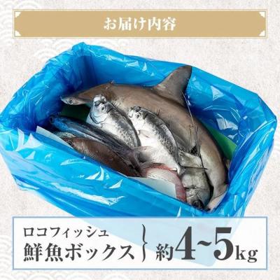 ふるさと納税 肝付町 漁師厳選!ロコフィッシュ(地魚) 鮮魚 ボックス(約4〜5kg)【発泡スチロール包装】　B78001 |  | 03