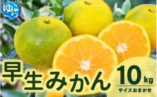 
                  由良 早生 みかん (サイズおまかせ) 10kg【eiw003-r-10】
                