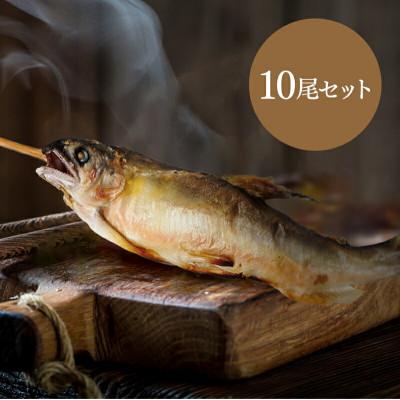 ふるさと納税 さくら市 【鮎の特製炭火焼 10尾セット】