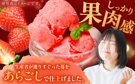 【先行予約】苺そのままの甘酸っぱさ！THE ICHIGO  プレミアム苺シャーベット 計8個 / いちご イチゴ アイス デザート / 佐賀県 / さかもとさんの畑［41ABAA019］ストロベリー 