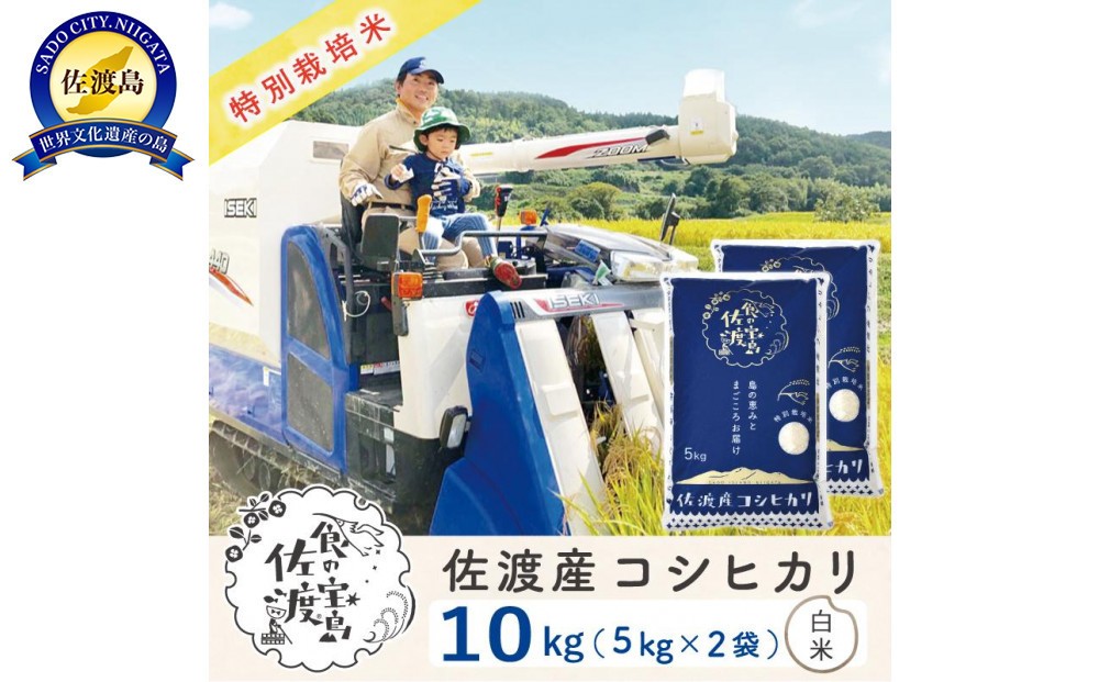 佐渡島産コシヒカリ 白米10kg（5kg×2袋） 特別栽培米 農家直送195962-0314