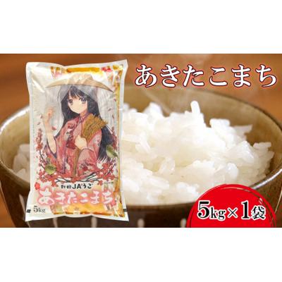 ふるさと納税 羽後町 【令和7年産】美少女イラスト あきたこまち 5kg [No.5325-0195]