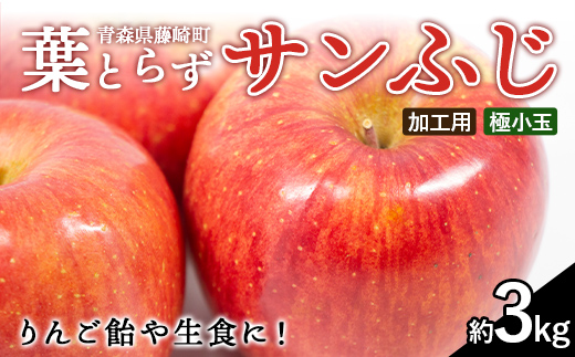 ≪先行予約≫ 【加工用】 葉とらずサンふじ 極小玉 約3kg 【アップルアーク】 青森りんご 林檎 リンゴ ご家庭用 葉取らずりんご 発祥の地 果物 くだもの フルーツ おすすめ 青森県産 藤崎町 F41-0161