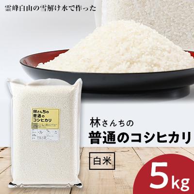 ふるさと納税 野々市市 林さんちの普通のコシヒカリ　白米5キロ