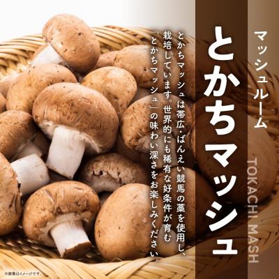 ふるさと納税 帯広市 十勝 乾燥 マッシュルーム 15g×6パック とかちマッシュ 即席で便利 北海道 帯広市 |  | 02
