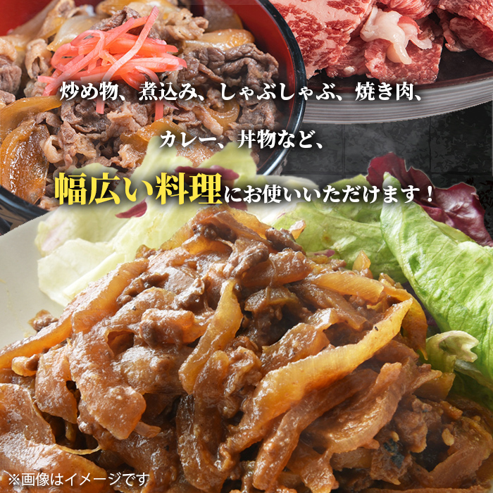 i1000 鹿児島県産 黒毛和牛 切り落とし (計約1kg・約500g×2パック) 国産 九州産 鹿児島産 黒毛和牛 牛肉 国産牛 切り落とし 切落し 小分け 冷凍配送 【スターゼン】