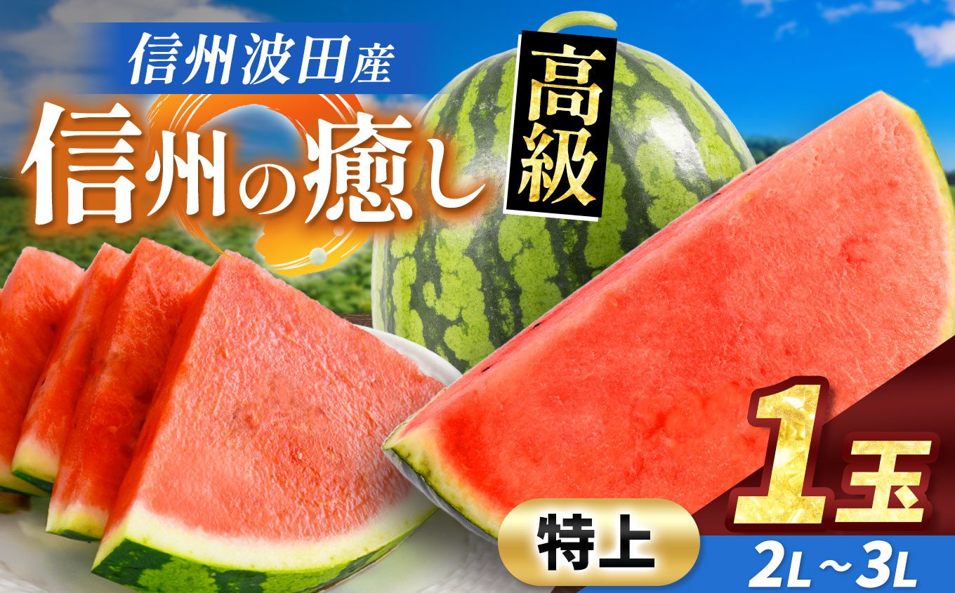 
            【先行予約】信州波田産 贈答用 高級スイカ！ 信州の癒し 【特上】 2L～3Lサイズ 1玉｜ふるさと納税 長野県 信州 松本 果物 フルーツ すいか スイカ 西瓜 新鮮 大きい 特別 贈答 季節限定 甘い くだもの ふるーつ
          
