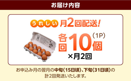 《月2回 × 10個 1ヶ月コース》 彩り天佑卵 全2回定期便 [AIDL016]