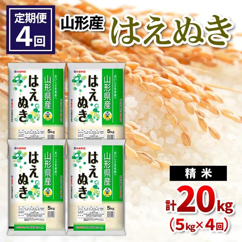 【令和8年産】 【定期便4回】山形産 はえぬき 精米 5kg×4回 FY26-264
