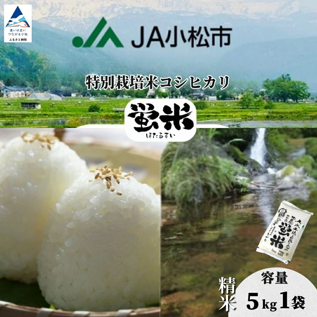 【ふるさと納税】 米 令和7年産 精米 5kg コシヒカリ 蛍米 特別栽培米 白米 お米 こめ コメ こしひかり 5kg × 2袋 5キロ 5KG R7年産 2025年産 県産米 国産米 お取り寄せ 人気 ランキング おすすめ お中元 お歳暮 ギフト 石川県 小松市 こまつ 020047 【JA小松市】