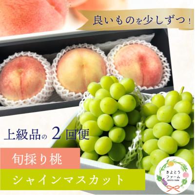 ふるさと納税 津山市 【発送月固定定期便】【2026年先行予約】厳選された大玉桃3玉と大粒シャインマスカット定期便!全2回