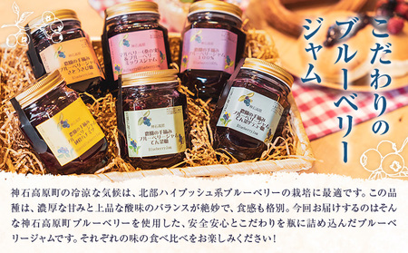 ジャム 神石高原町産 ブルーベリー ジャム 食べ比べ 2本セット 2種 計840g 伊草農園《30日以内に出荷予定(土日祝除く) 》広島県 神石高原町 ブルーベリー ジャム てん菜糖 さとうきび糖