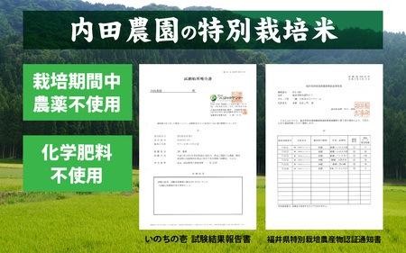 【先行予約】【内田農園・ピロール米】令和7年産 福井県産いのちの壱 3kg 精米 減農薬栽培 【10月下旬順次発送】 [A-168001_02] / 3kg 精米