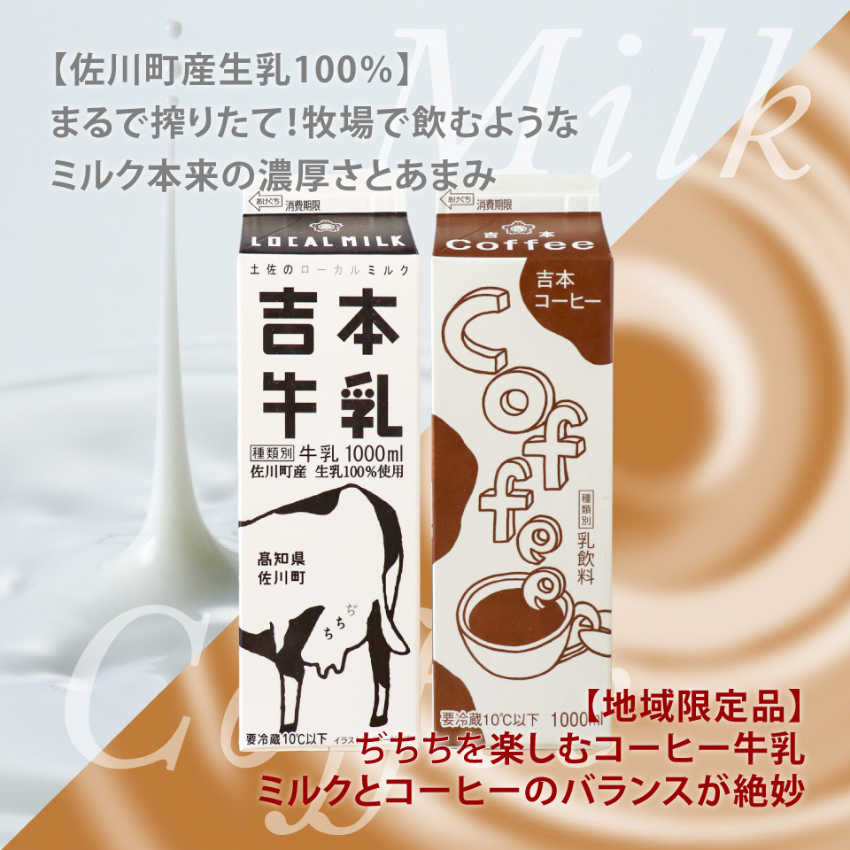 ＜吉本牛乳（さかわの地乳）・ 吉本コーヒー 各1L×3本 合計6本＞ 　　コーヒー牛乳 吉本乳業 高知県 佐川町 成分無調整 生乳100％ ぢちち NHKあさイチで紹介 ご当地牛乳 ご当地コーヒー牛乳