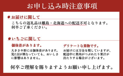 採れたて新鮮 栃木のいちご 冷凍とちあいか 1kg (200g×5パック） ｜ いちご 栃木 とちあいか 甘い 糖度 旬 新鮮 フルーツ 果物 アレンジ スイーツ いちごジャム フルーツサンド ※20