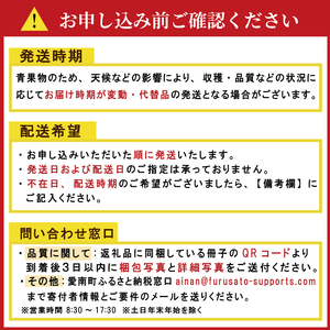 【先行予約：2026年11月20日～発送】訳あり まどんな 3kg 数量限定 愛南町青果市場組合