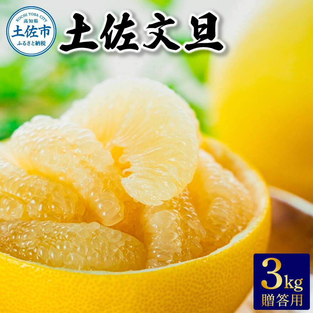 【ふるさと納税】温室土佐文旦　贈答用3kg 先行予約 2025年12月中旬より順次発送 ぶんたん ブンタン 柑橘 フルーツ 果物 くだもの 贈答 ギフト 贈り物 土佐 高知 やの一果彩 ふるさとのうぜい 故郷納税 高知県 27000円 土佐市
