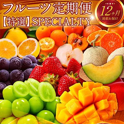 ふるさと納税 新富町 【発送月固定定期便】南国宮崎〈特選〉旬のフルーツ 全12回