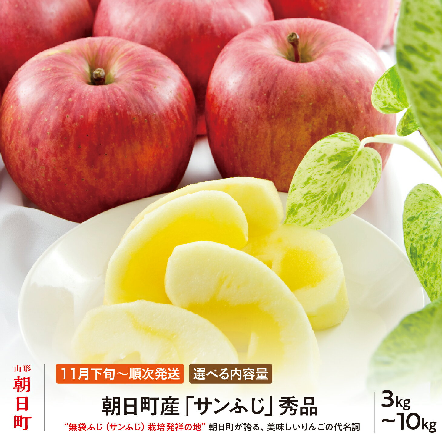 【ふるさと納税】＜ 先行予約 ＞ サンふじ りんご 秀品 選べる内容量 約 3kg 8～12玉 約 10kg 26～40玉 【2026年11月下旬から12月下旬発送】 山形県 朝日町産 山形県産 果物 フルーツ リンゴ 林檎 秋 冬 送料無料