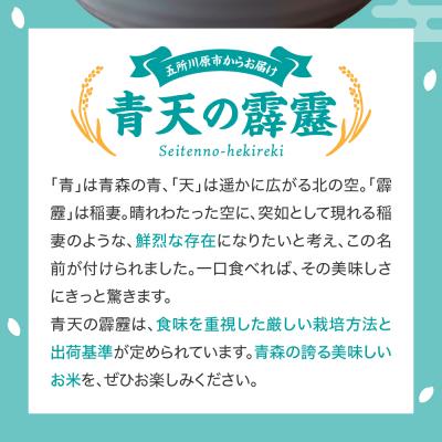 ふるさと納税 五所川原市 【令和7年産米】 特別栽培米 青天の霹靂 + つがるロマン 10kg ( 5kg ×2) |  | 01