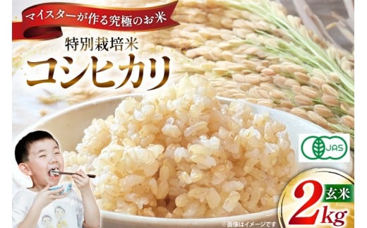 玄米 令和7年 特別栽培米 コシヒカリ 2kg 【有機JAS】 [遠藤農園 山形県 高畠町 tk06ayt120010] こしひかり 2キロ お米 ブランド米 ごはん ご飯 こめ