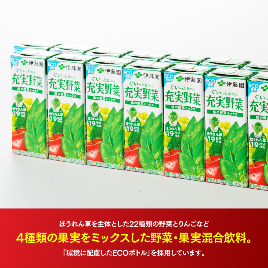 伊藤園 充実野菜 緑の野菜ミックス（紙パック）200ml×24本【3ヶ月定期便】 【 全3回 伊藤園 飲料類 野菜ジュース 野菜 ジュース ミックスジュース 飲みもの】