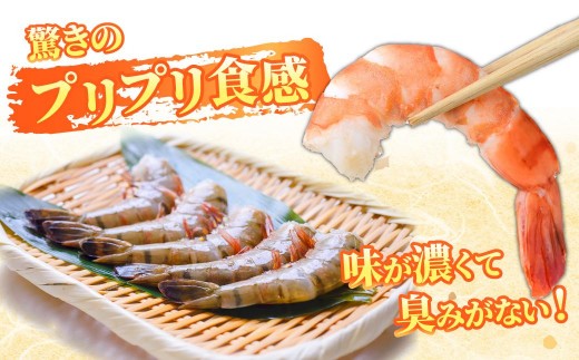 海老 エビ えび ブラックタイガー ぶらっくたいがー