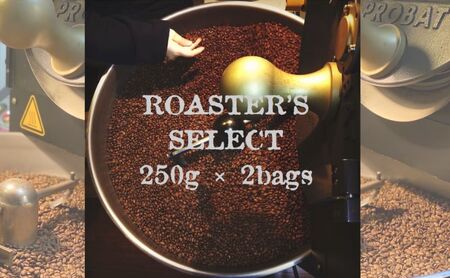 ロースターズセレクト 250g×2種類のおすすめスペシャルティコーヒー ドリンク コーヒー スペシャルティコーヒー 中挽き