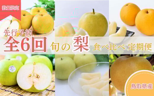 【先行予約】 梨王国 2025 旬の梨 食べ比べ 全6回定期便 合計約28kg（鳥取県産）梨 なし 和梨 先行予約 数量限定 定期便 フルーツ 果物 季節の果物 季節のフルーツ なつひめ 新甘泉 二十世紀梨 秋甘泉 王秋 あたご梨 食べ比べ 20世紀梨