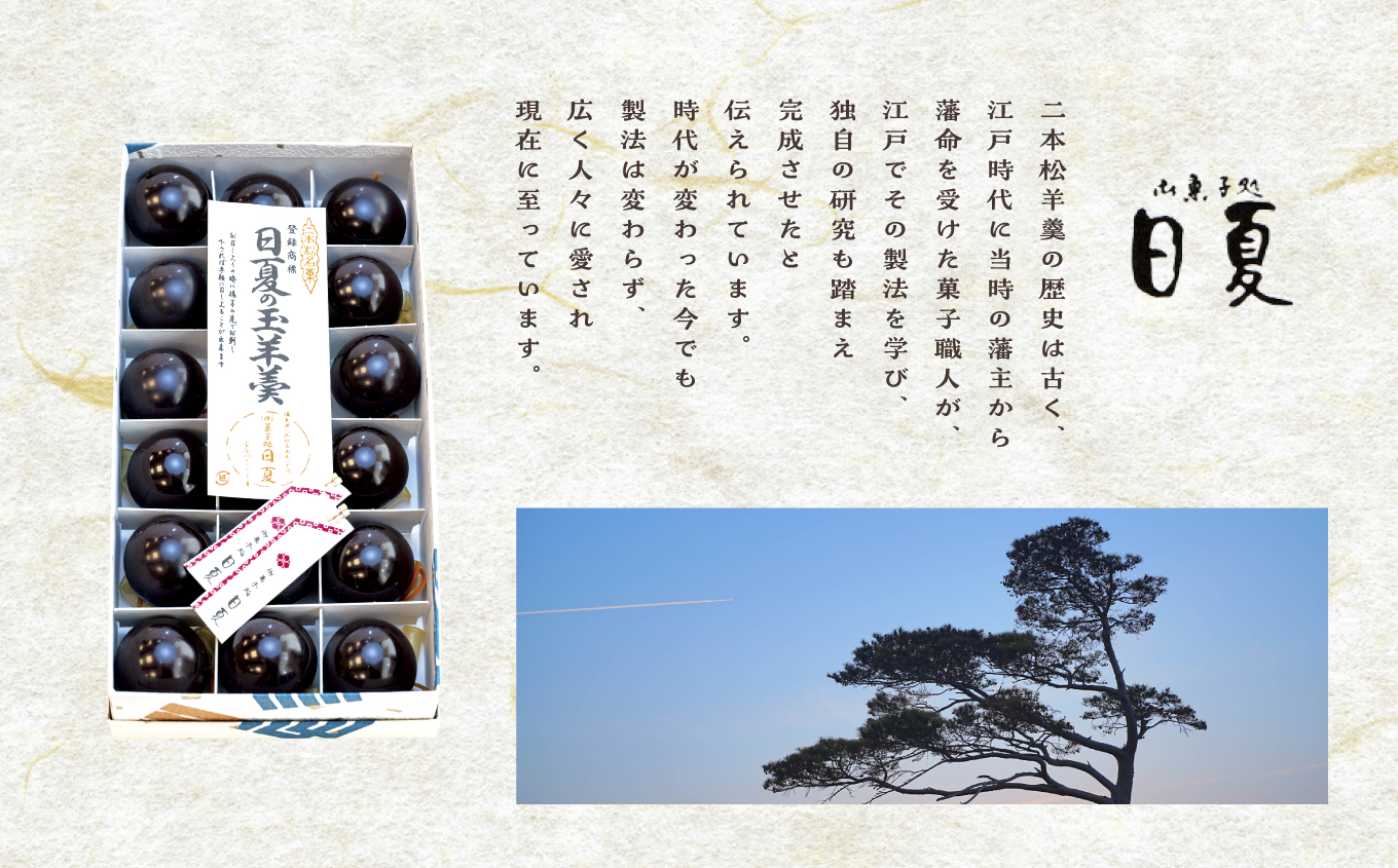 二本松を代表する銘菓 日夏の玉羊羹 1箱 30g×18個 羊羹 ようかん 羊かん 和菓子 菓子 日夏 玉羊羹 お茶菓子 スイーツ 贈答用 おすすめ お中元 お歳暮 ギフト 二本松市 ふくしま 福島県 