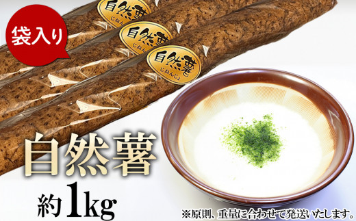 自然薯 約1kg ( カット済 ) 【 ※ 重量 （ 約1kg ）に合わせてお届け 】【 2025年12月～2026年3月ごろ発送予定 】【 山芋 やまいも とろろ 人気 おすすめ 自然薯 ごはん 米 蕎麦 】