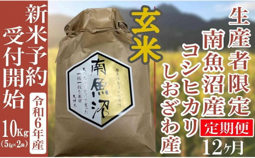 【新米予約・令和6年産】定期便12ヶ月：玄米10Kg 生産者限定 南魚沼しおざわ産コシヒカリ