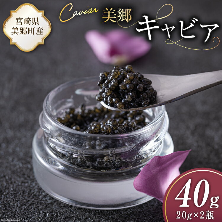 【ふるさと納税】美郷 キャビア チョウザメ 40g [宮崎キャビア 宮崎県 美郷町 31az0013] きんかん キンカン 金柑 フレーバー 冷凍 宮崎県産