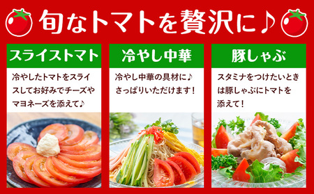 T06 栃木県野木町産ぜいたくトマト（約1.5kg）