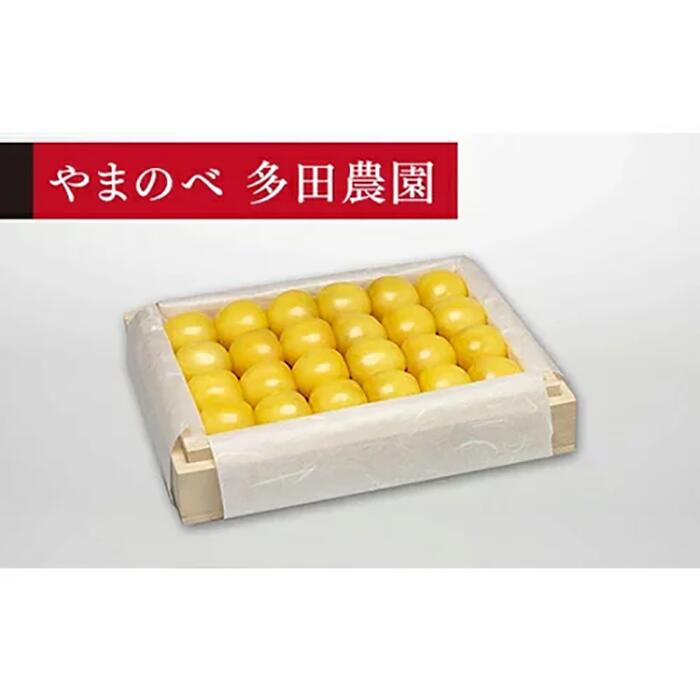 【ふるさと納税】《2026年先行予約》【特選月山錦】桐箱詰 約300g【やまのべ多田耕太郎のさくらんぼ 多田農園】期間限定 数量限定 山形県産 サクランボ フルーツ 果物 くだもの 贈答 F4A-0025