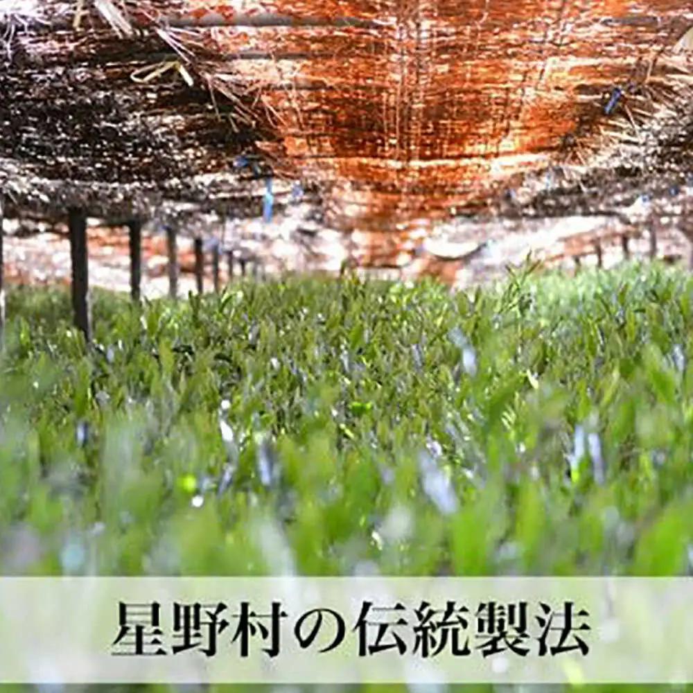 【2026年産】奥八女・星野村の伝統本玉露80g 八女茶 [BGAA019]玉露