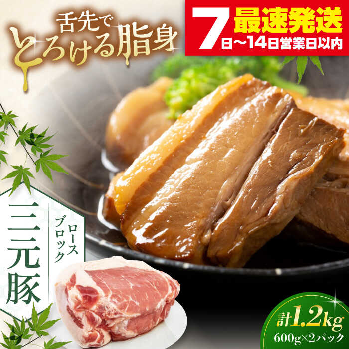 【ふるさと納税】 三元豚 ロースブロック1.2kg 600g 2パック 《喜茂別町》【平田牧場】 肉 豚肉 ロース ブロック ローストポーク 煮豚 酢豚 煮物 冷凍配送 北海道 平田牧場 おすすめ [AJAP071] 18000 18000円