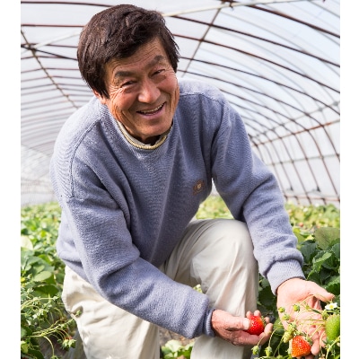 菅谷いちご園の完熟いちご 3Lサイズ   18粒(約420g)×2パック【配送不可地域:離島・北海道・沖縄県・信越、北陸・東海・近畿・中国・四国・九州】