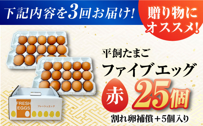 【3回定期便】【お得な箱入り】平飼たまご ファイブエッグ M～Lサイズ 30個 / 5EGG 卵 赤玉子 五島市 / 五島列島大石養鶏場 [PFQ039]