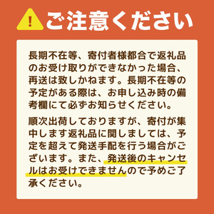 ノート コクヨ エコノート セミB5 横罫 ラムネ色 20冊 文房具 滋賀 愛荘