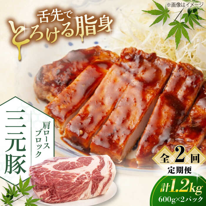 【ふるさと納税】 定期 三元豚 肩ロースブロック1.2kg 600g×2パック ▼ 全2回 定期便 《喜茂別町》【平田牧場】 肉 豚肉 ロース ブロック ローストポーク 煮豚 酢豚 煮物 冷凍配送 定期便 定期 北海道 平田牧場 おすすめ [AJAP114] 35000 35000円