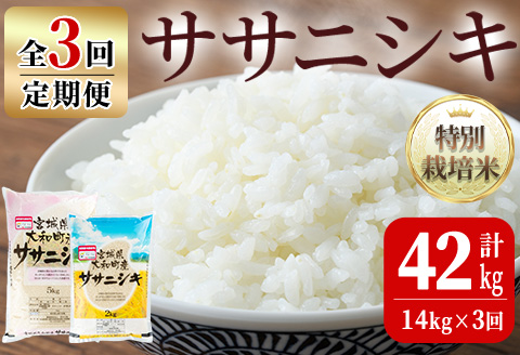 【令和6年産】＜３か月定期便＞特別栽培米 ササニシキ 42kg  ta247【若木の里】