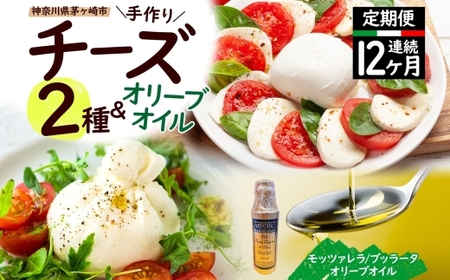 チーズ 定期便 12ヶ月 2種 オリーブオイル セット チーズ