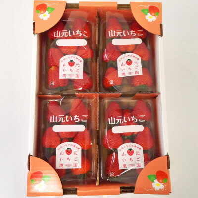 【ふるさと納税】宮城いちご 2品種食べ比べセット 4パック【配送不可地域：離島・北海道・沖縄県・信越、北陸・近畿・中国・四国・九州】【1693714】