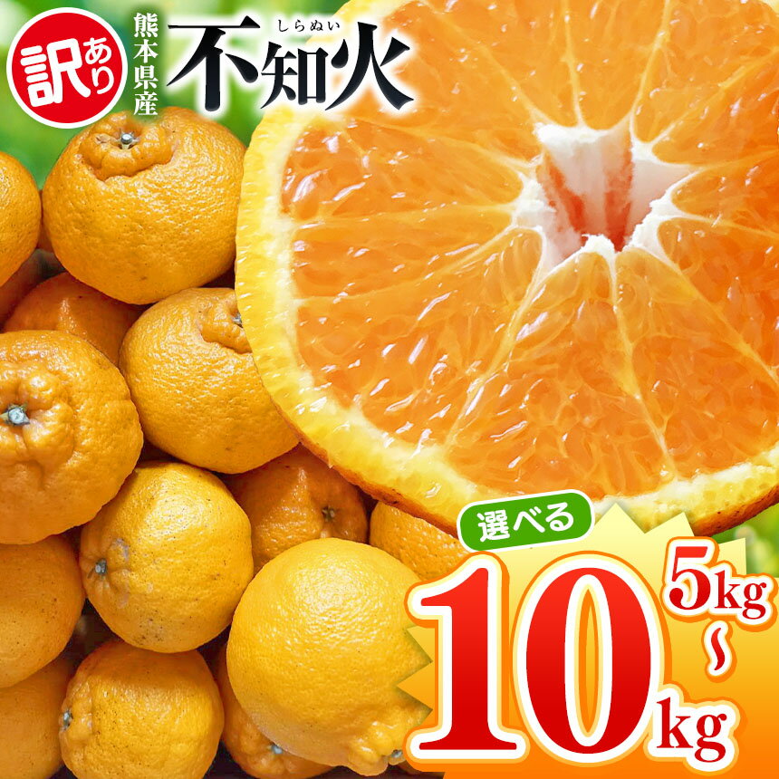 【ふるさと納税】【 先行予約 】 選べる内容量 【訳あり】 不知火 約 10kg or 5kg 池田農園 | デコポン しらぬい フルーツ 和製 果物 熊本県産 熊本県 熊本 くまもと 和水町 なごみまち なごみ 柑橘類 果物 フルーツ
