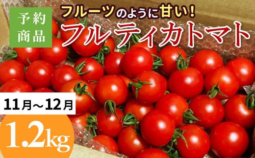 
                  予約品※2026年11月～12月発送フルーツのように甘い フルティカトマト 1.2kg 令和8年度産 野菜 トマト サラダ リコピン 健康 美容  ※予約商品※割れ保障付 5000円
                