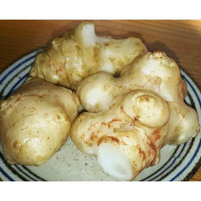ふるさと納税 糸魚川市 菊イモチップス 50g×3袋 |  | 02