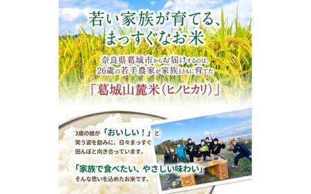 米 先行予約 ※3ヶ月定期便※ 葛城山麓米 ヒノヒカリ（白米）10kg ×3ヶ月 令和8年産 【2026年11月・12月・1月発送】葛城市【smlk-tkb003】