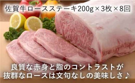 【全8回定期便】佐賀牛ヒレステーキ＆ロースステーキ 総計9.12kg 吉野ヶ里町/石丸食肉産業 佐賀牛 牛肉 肉 国産 ブランド牛 ヒレ ロース ステーキ [FBX022]