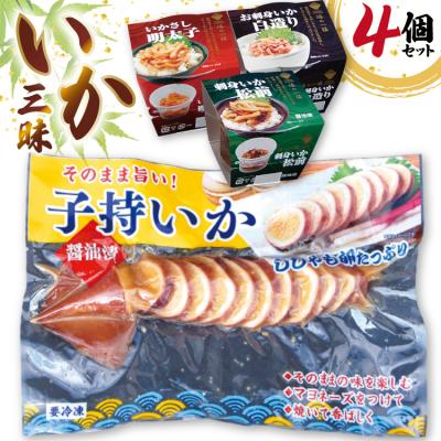 ふるさと納税 気仙沼市 いか 詰め合わせ いか三昧 4種 セット [北興物産 宮城県 気仙沼市 20565108]